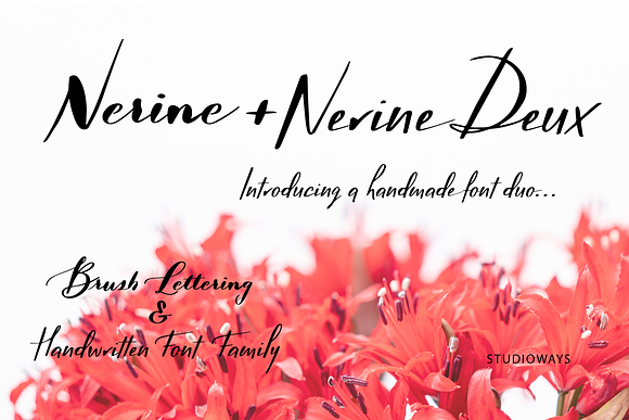 Nerine Duo Family in Script Fonts - product preview 2