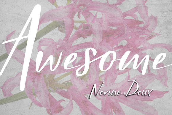 Nerine Duo Family in Script Fonts - product preview 3