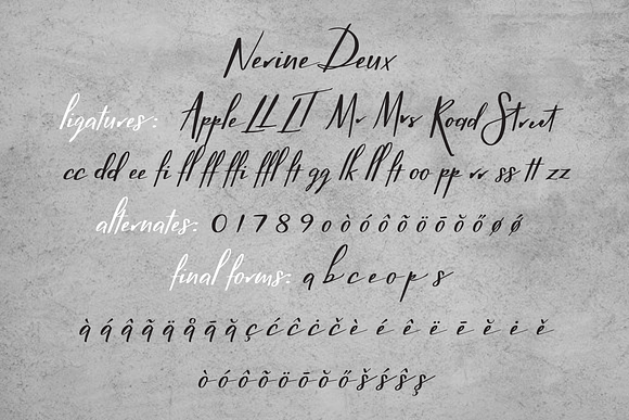 Nerine Duo Family in Script Fonts - product preview 7