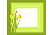 Greeting Card with Framing Daffodil