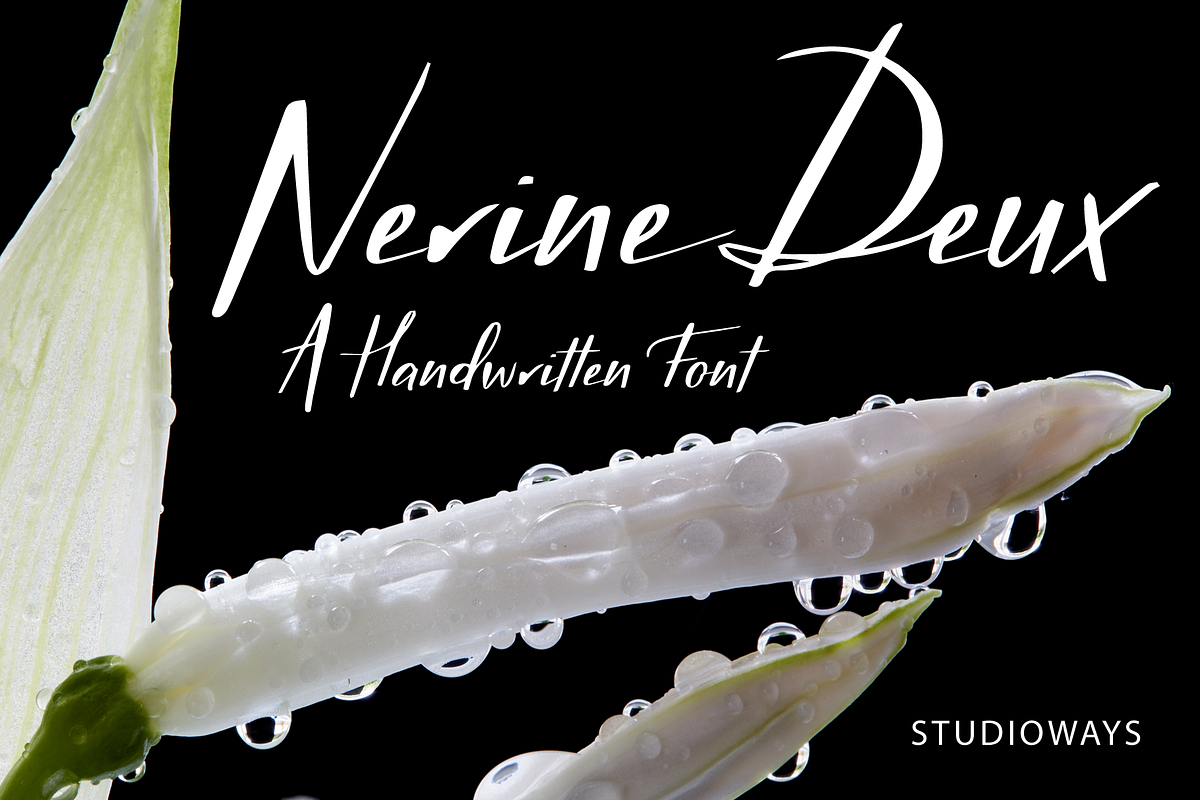 Nerine Deux in Script Fonts - product preview 8