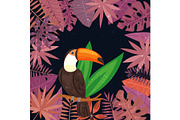 Exotic tropical toucan bird in the