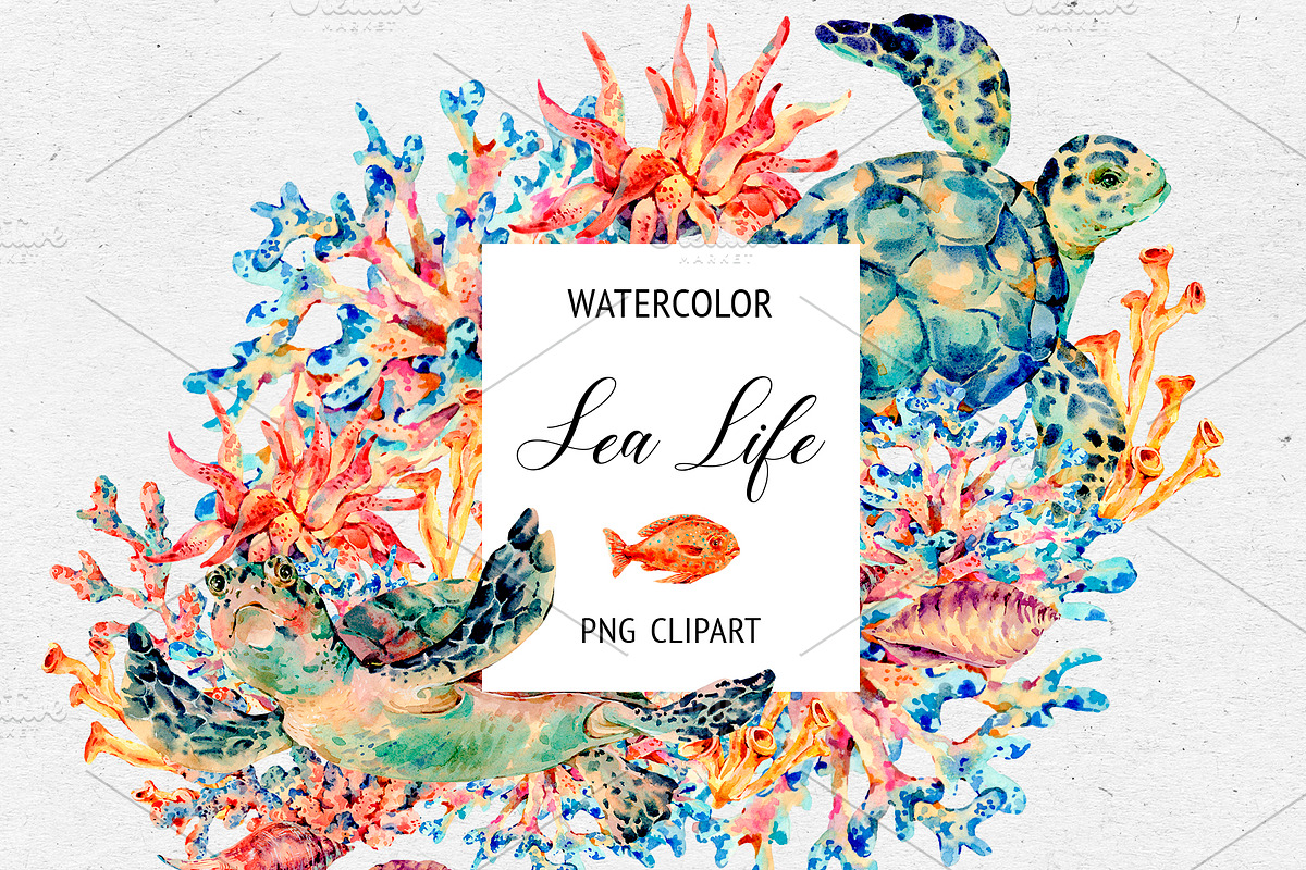 Watercolor Sea Turtle Clipart in Illustrations - product preview 8