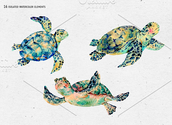 Watercolor Sea Turtle Clipart in Illustrations - product preview 1