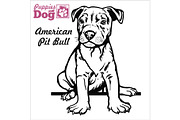 American Pit Bull puppy sitting