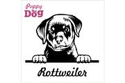 Puppy Rotweiller - Peeking Dogs -