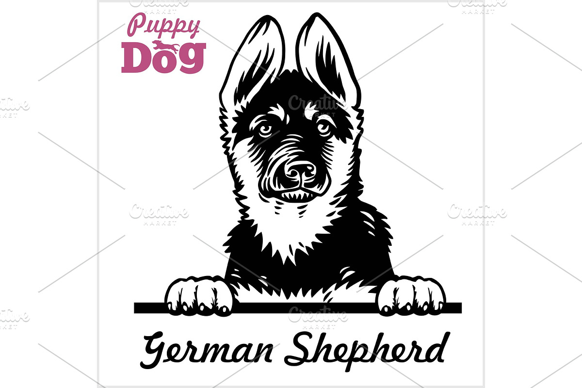 Puppy German Shepherd - Peeking Dogs in Illustrations - product preview 8
