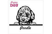 Puppy Poodle - Peeking Dogs - breed