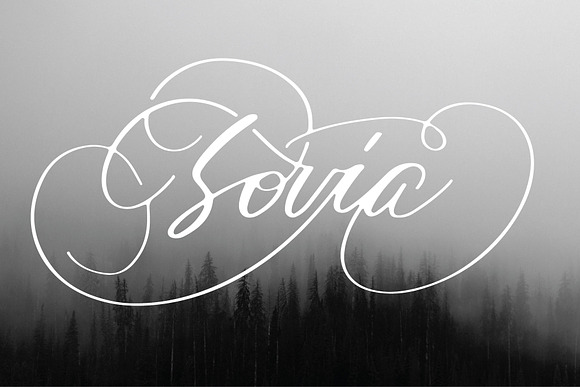 expose font in Script Fonts - product preview 3