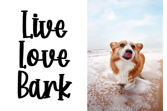 Corgi Puppy - Handwritten Font in Display Fonts - product preview 3