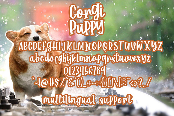Corgi Puppy - Handwritten Font in Display Fonts - product preview 5