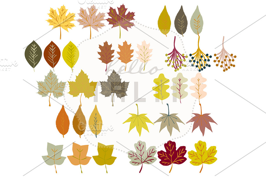 Fall Leaves Clip Art in Illustrations - product preview 8