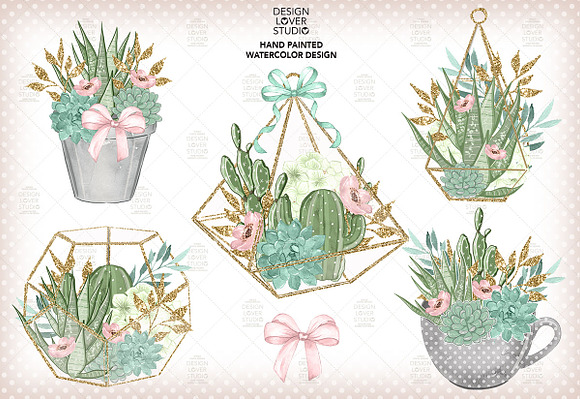 Sweet Succulent design in Illustrations - product preview 1