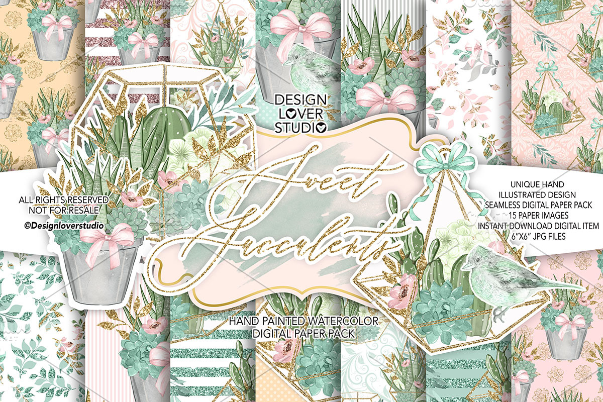 Sweet Succulent digital paper pack in Patterns - product preview 8