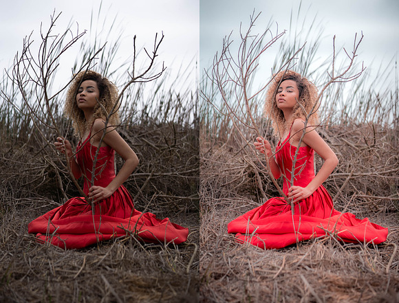 10 Lightroom Presets - Jelly in Add-Ons - product preview 8