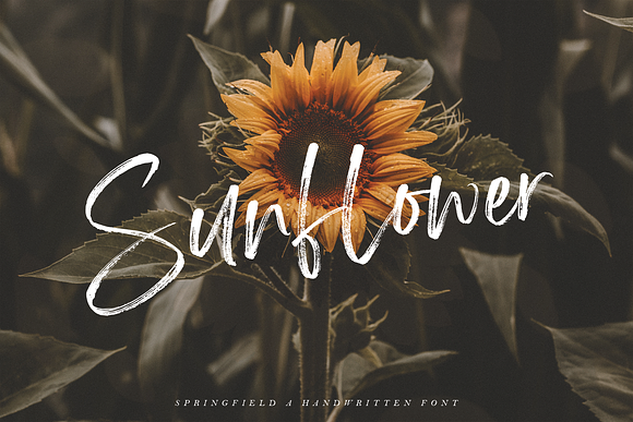 Springfield | Handwritten Font in Handwriting Fonts - product preview 8