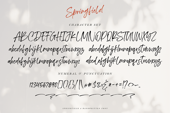 Springfield | Handwritten Font in Handwriting Fonts - product preview 12