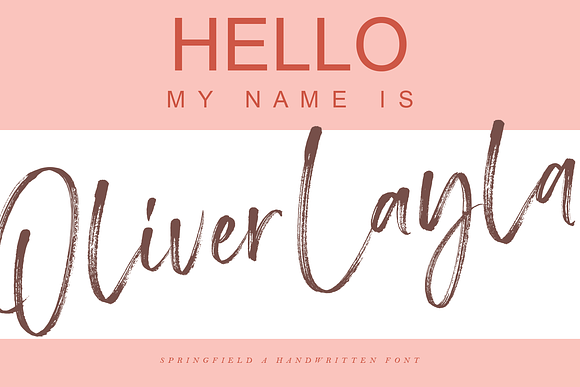 Springfield | Handwritten Font in Handwriting Fonts - product preview 16
