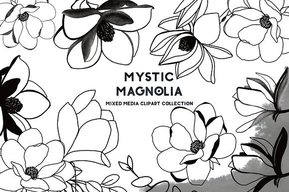 -25% OFF Mystic Magnolia flowers in Illustrations - product preview 5