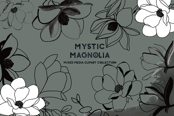 -25% OFF Mystic Magnolia flowers in Illustrations - product preview 6
