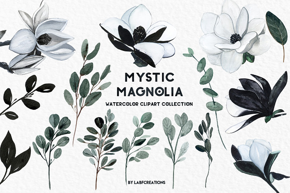 -25% OFF Mystic Magnolia flowers in Illustrations - product preview 9