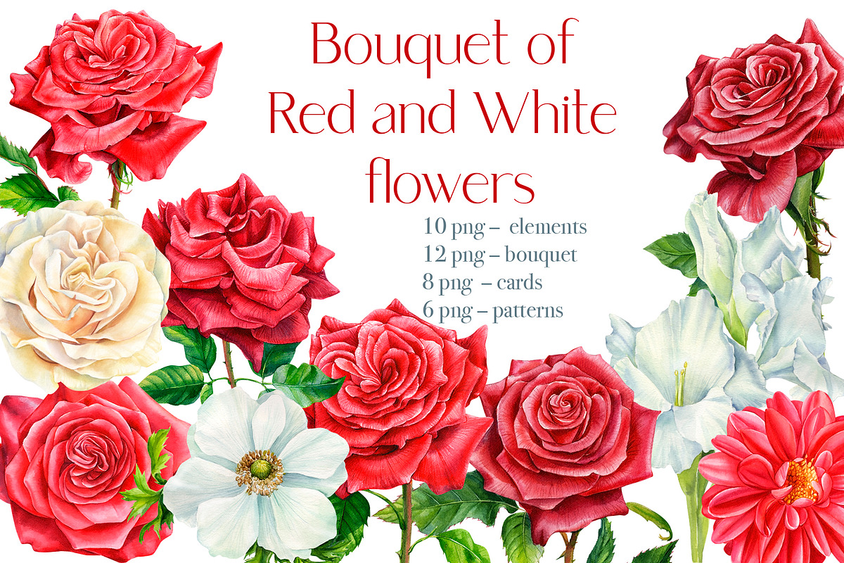 Bouquet of red and white flowers in Illustrations - product preview 8