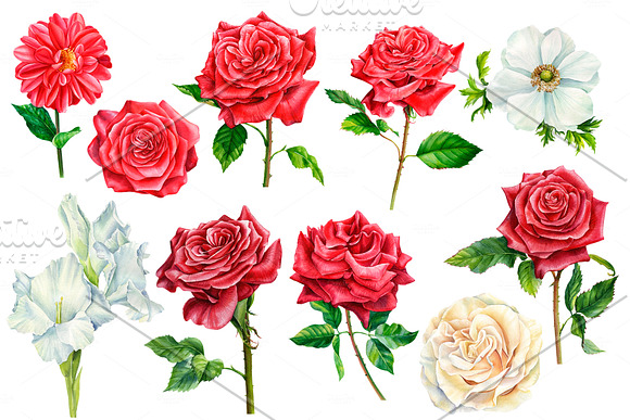 Bouquet of red and white flowers in Illustrations - product preview 1