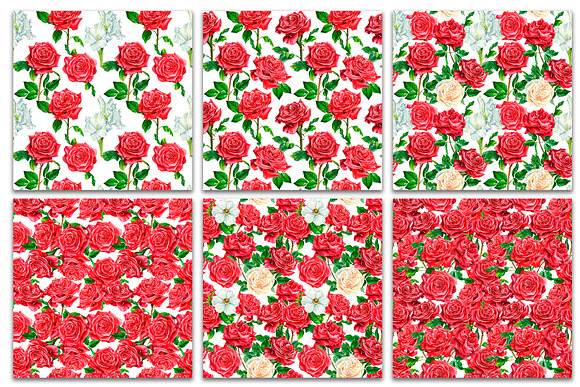 Bouquet of red and white flowers in Illustrations - product preview 3
