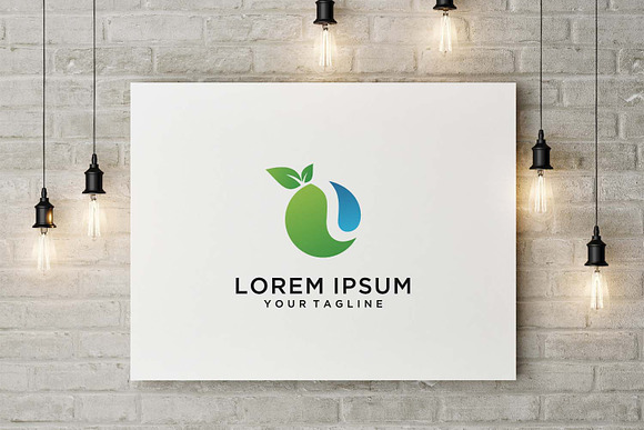 Fruit and Leaf Logo in Logo Templates - product preview 2