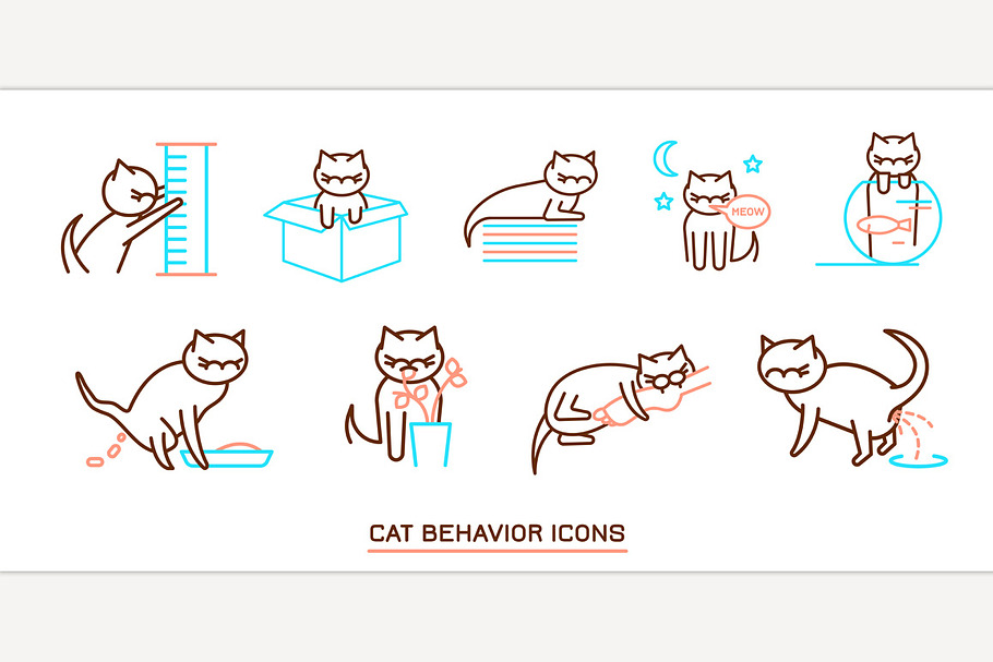 Cat Behavior Icons