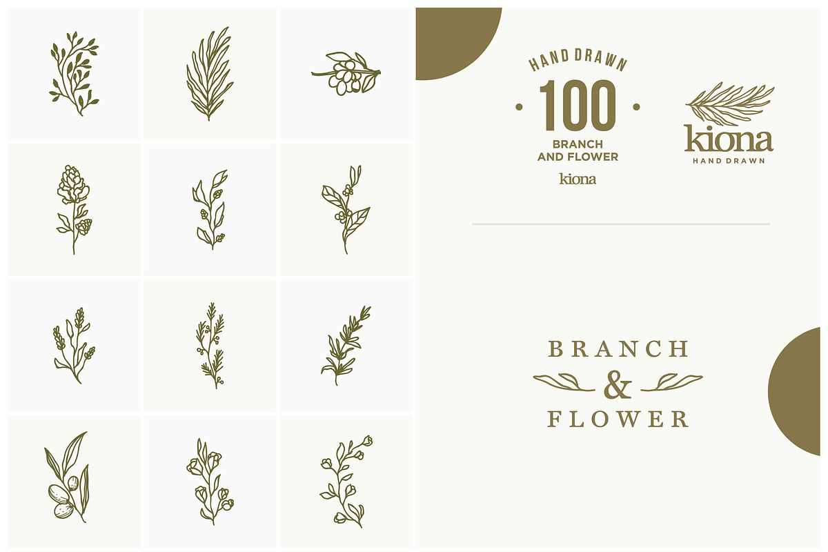 Hand Drawn Branch and Flower element in Illustrations - product preview 8