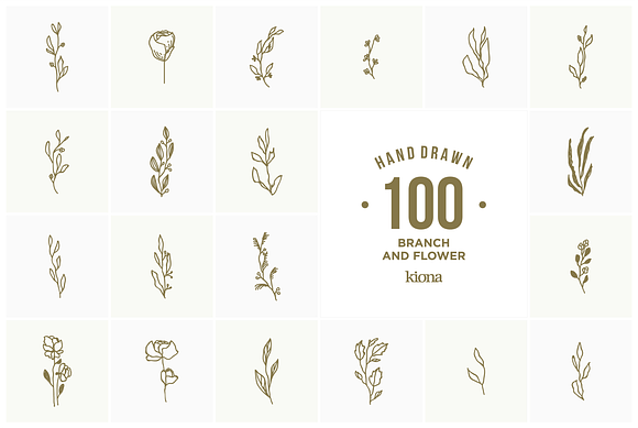 Hand Drawn Branch and Flower element in Illustrations - product preview 1