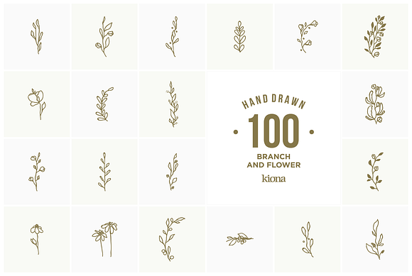 Hand Drawn Branch and Flower element in Illustrations - product preview 2