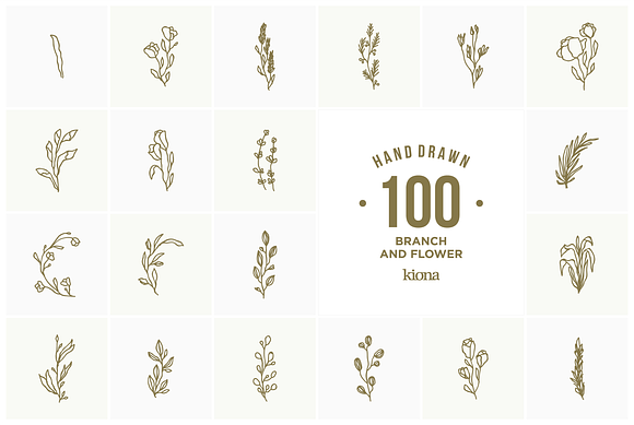 Hand Drawn Branch and Flower element in Illustrations - product preview 4