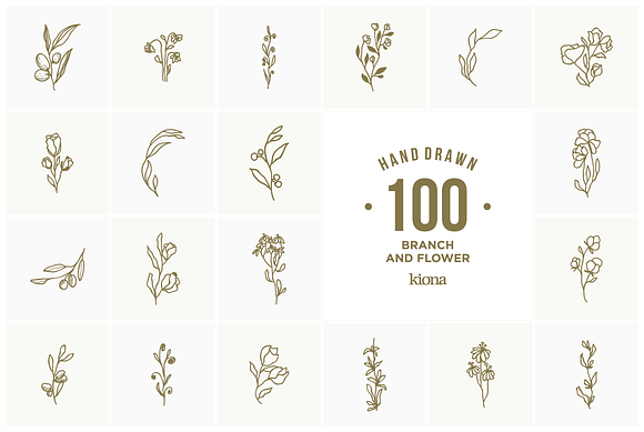 Hand Drawn Branch and Flower element in Illustrations - product preview 5