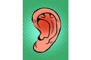 ear part of the body, hearing sounds