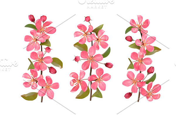 Pink cherry blossom branches set