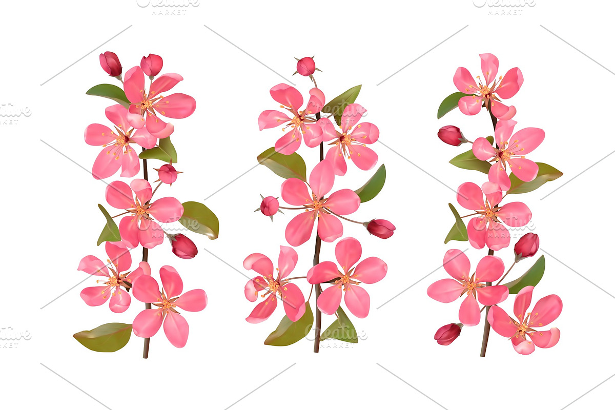 Pink cherry blossom branches set in Illustrations - product preview 8
