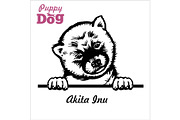 Puppy Akita Inu - Peeking Dogs -