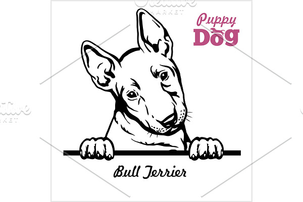 Puppy Bull Terrier - Peeking Dogs -