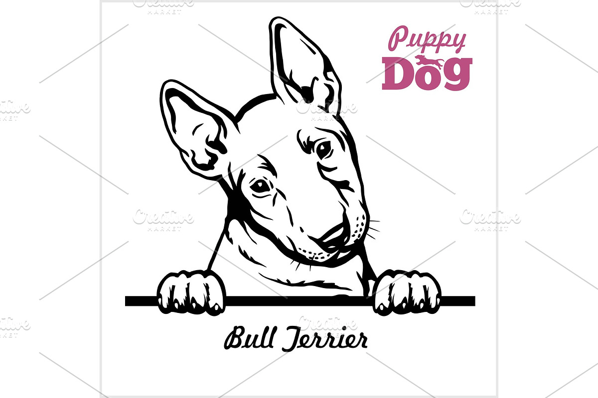 Puppy Bull Terrier - Peeking Dogs - in Illustrations - product preview 8