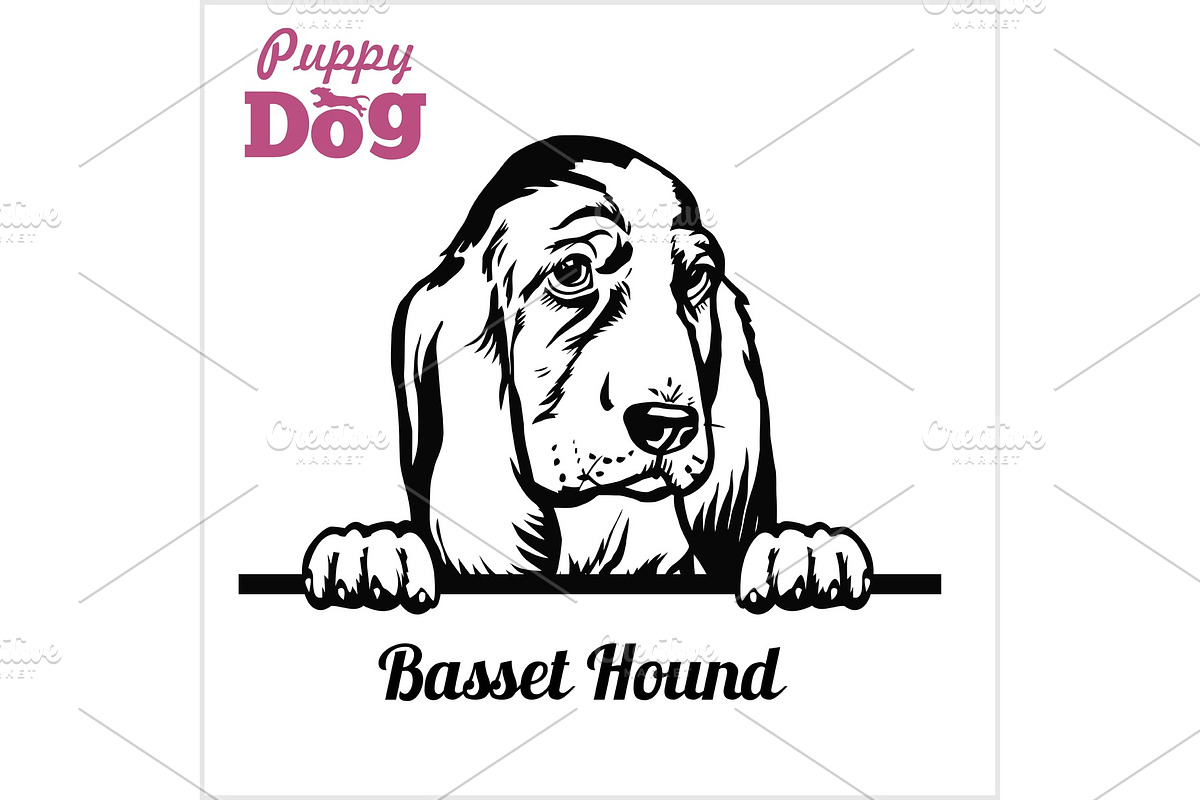 Puppy Basset Hound - Peeking Dogs - in Illustrations - product preview 8