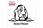 Puppy Basset Hound - Peeking Dogs -