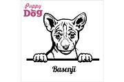 Puppy Basenji - Peeking Dogs - breed