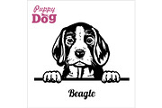 Puppy Beagle - Peeking Dogs - breed