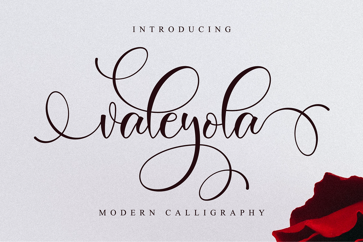 Valeyola Script in Script Fonts - product preview 8