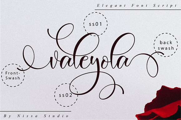 Valeyola Script in Script Fonts - product preview 9