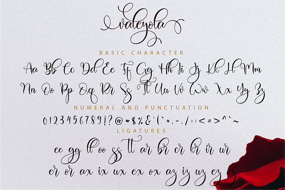 Valeyola Script in Script Fonts - product preview 10