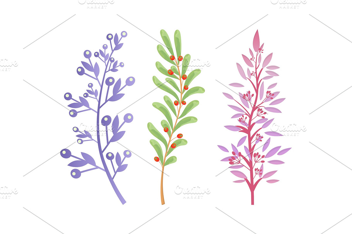Branches of Forest Trees and Bushes in Illustrations - product preview 8