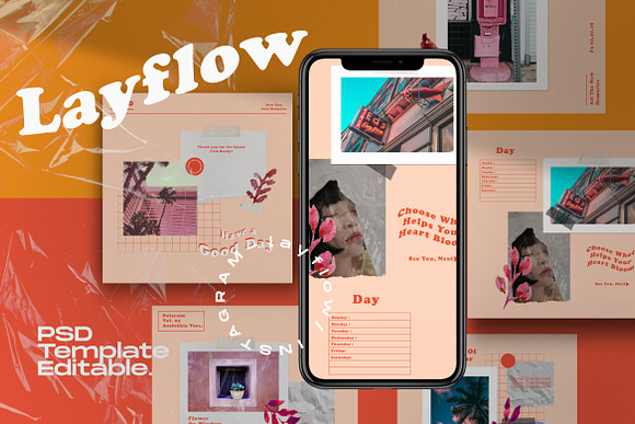 Layflow - Social Media Brand Post+SG in Instagram Templates - product preview 4